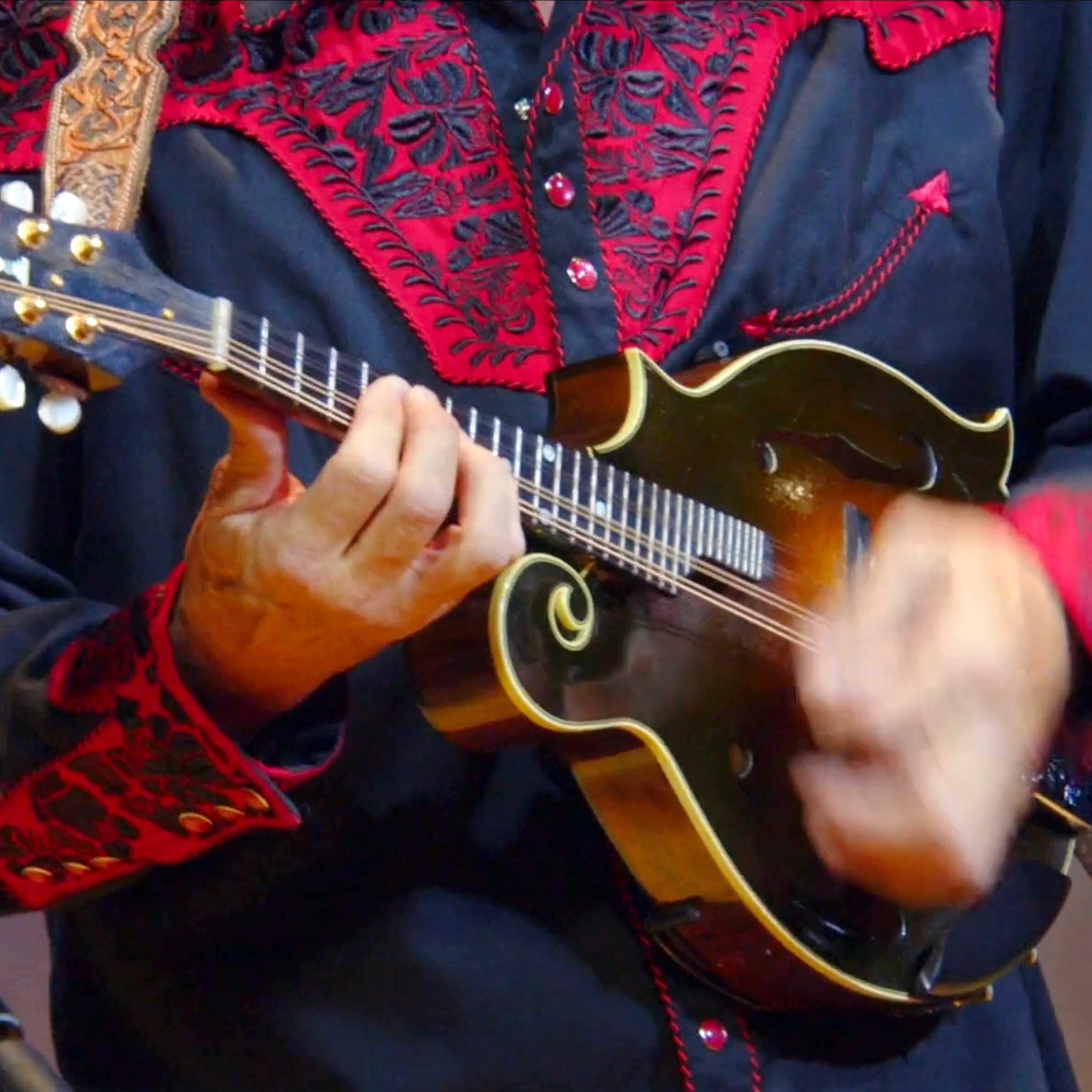 Spring-Mountain-String-Band_05